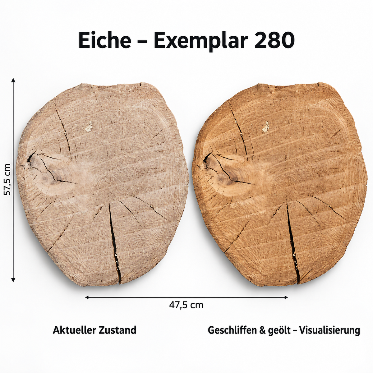 Eiche – Exemplar 280, Maße 57,5 × 47,5 cm, aktueller Zustand und geschliffen & geölt Visualisierung