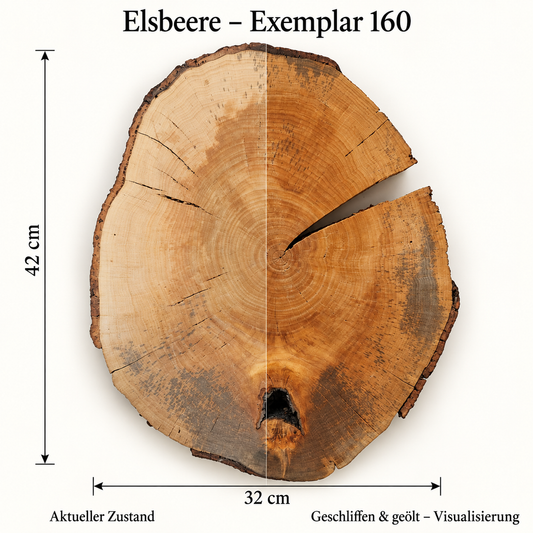Elsbeere – Exemplar 160: aktueller Zustand und geschliffen & geölt – Visualisierung