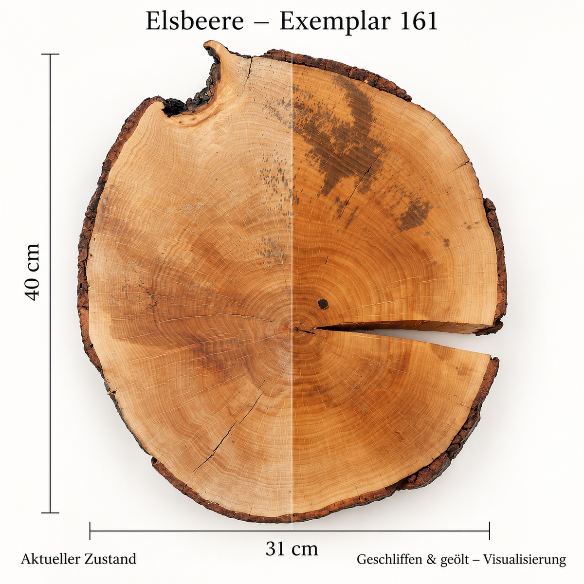 Elsbeere – Exemplar 161: aktueller Zustand und geschliffen & geölt – Visualisierung
