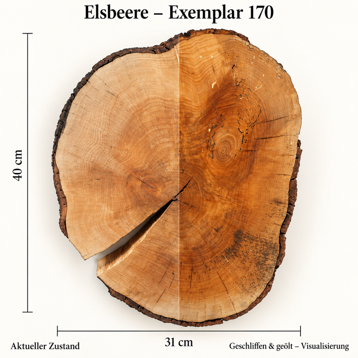 Elsbeere – Exemplar 170: aktueller Zustand und geschliffen & geölt – Visualisierung