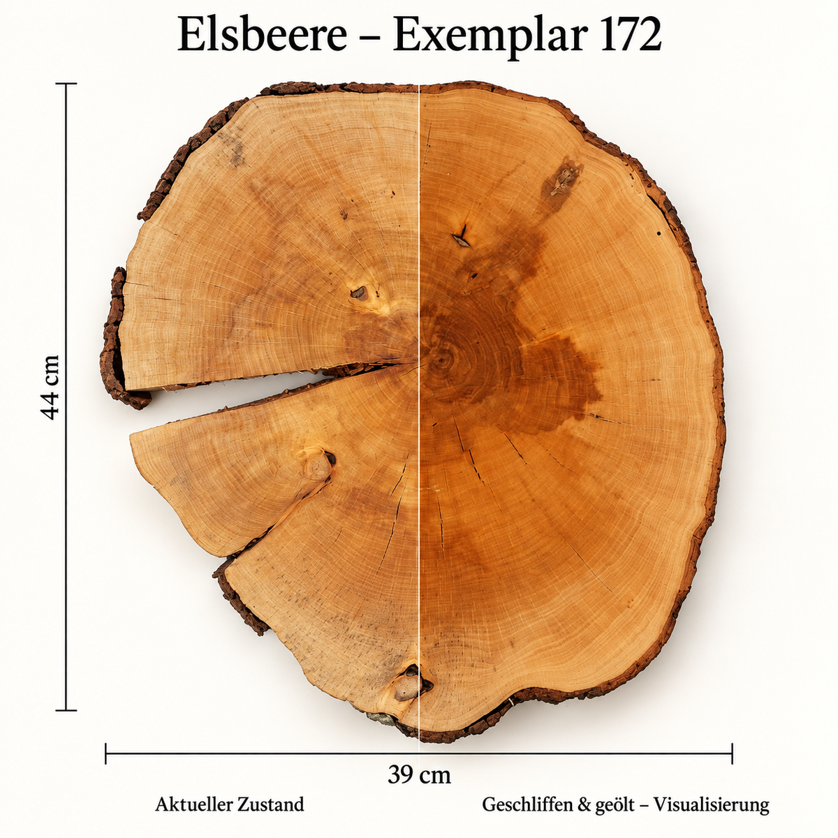 Elsbeere – Exemplar 172: aktueller Zustand und geschliffen & geölt – Visualisierung