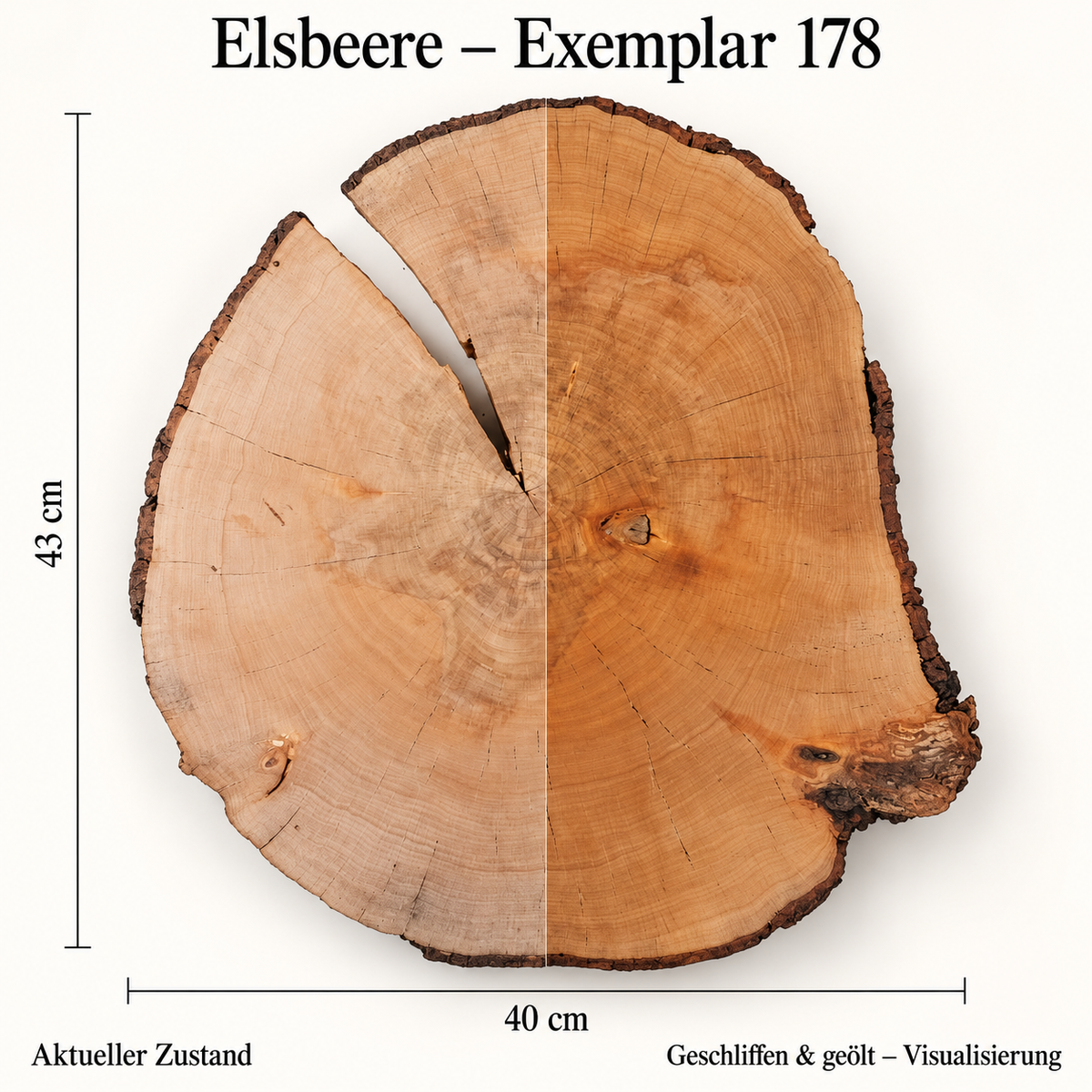 Elsbeere – Exemplar 178: aktueller Zustand und geschliffen & geölt – Visualisierung