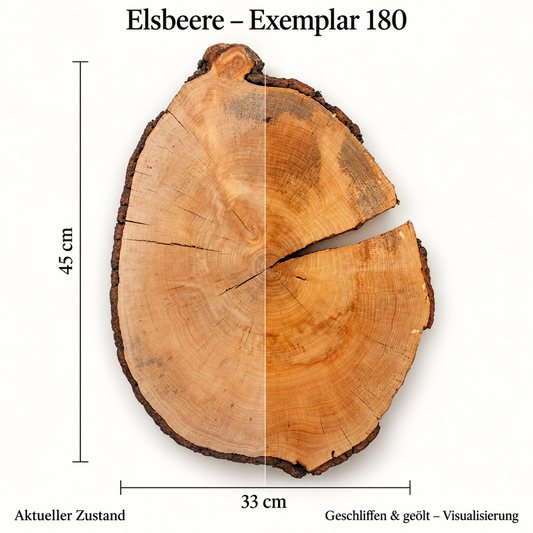 Elsbeere – Exemplar 180: aktueller Zustand und geschliffen & geölt – Visualisierung