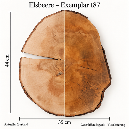 Elsbeere – Exemplar 187: aktueller Zustand und geschliffen & geölt – Visualisierung