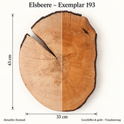 Elsbeere