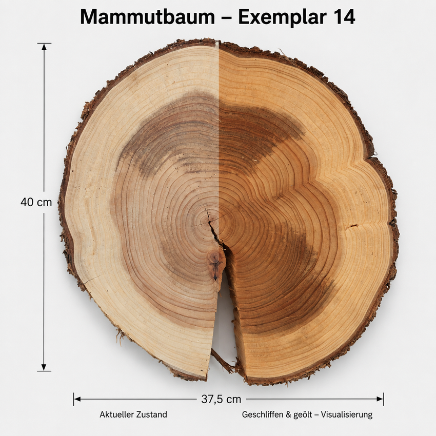 Mammutbaum, Baumscheibe (14) Schneidebrett für hochwertige Messer Damast Beistelltisch Baumkante Rinde Masssivholz Epoxy Epoxid Projekt Rarität