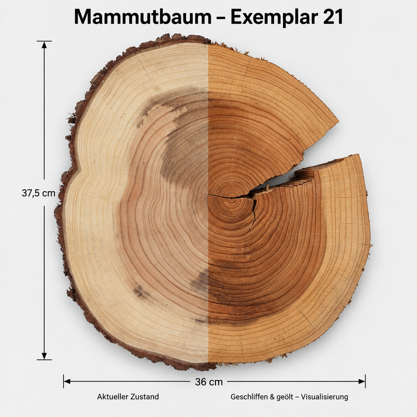 Mammutbaum, Baumscheibe (21) Schneidebrett für hochwertige Messer Damast Beistelltisch Baumkante Rinde Masssivholz Epoxy Epoxid Projekt Rarität