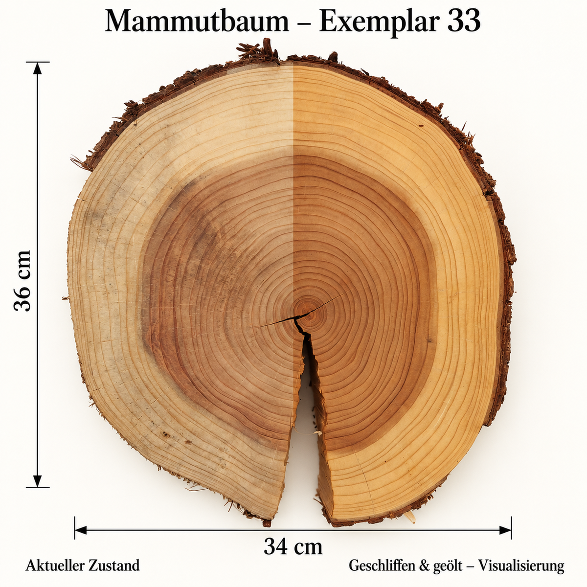 Mammutbaum – Exemplar 33: aktueller Zustand und geschliffen & geölt – Visualisierung