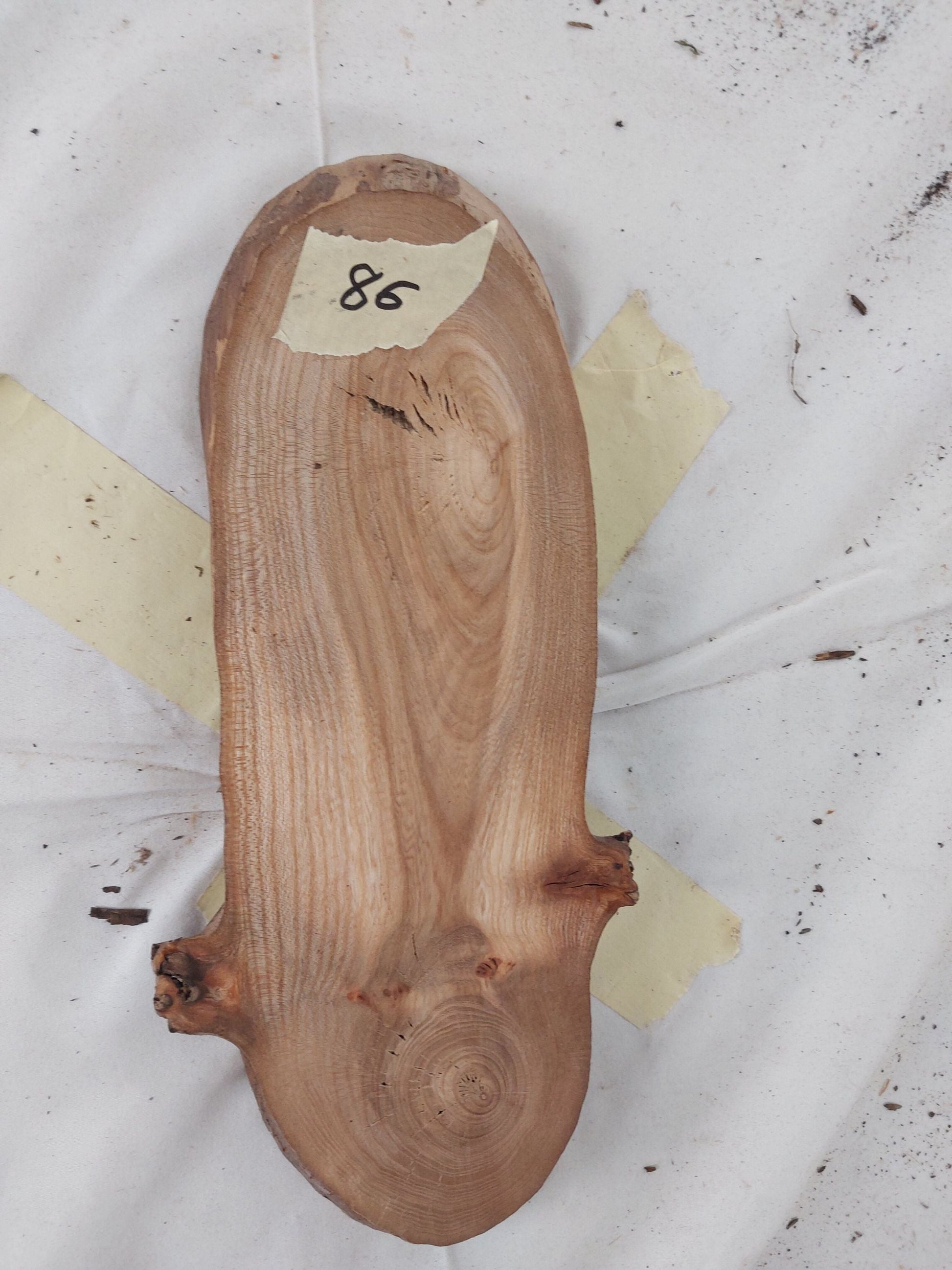 Maulbeere Baumscheibe 86 Originalansicht A