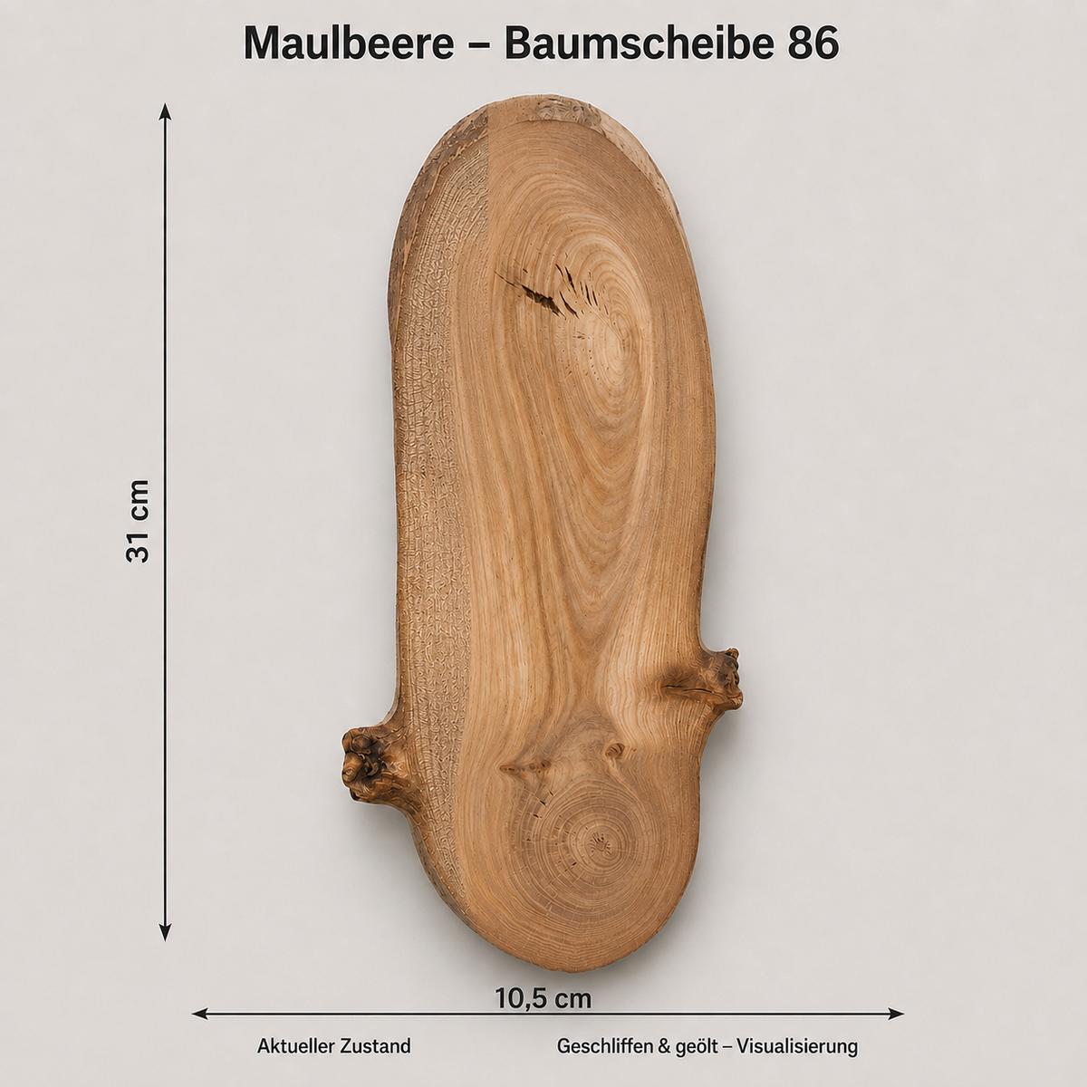 Maulbeere Baumscheibe 86 – Maße, aktueller Zustand und geschliffen/geölt Visualisierung