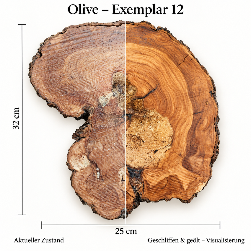 Rodaja de madera de olivo 12