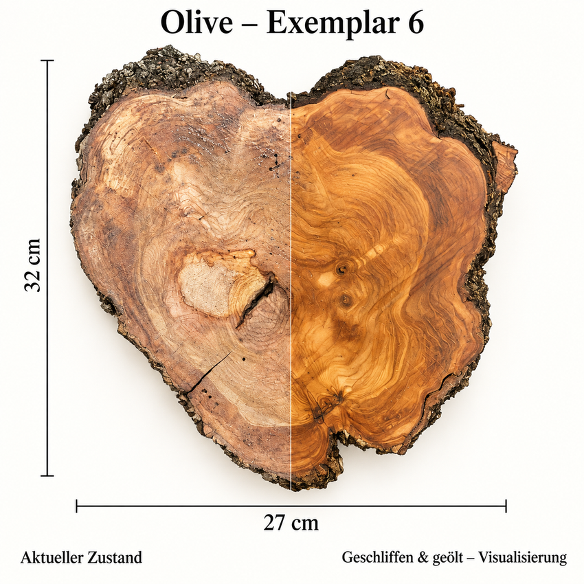 Baumscheibe Olive 6
