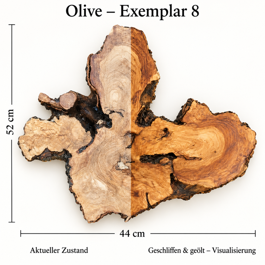 Baumscheibe Olive 8