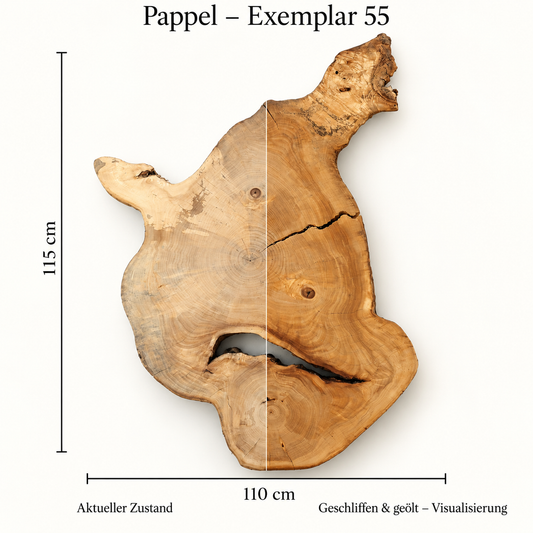 Pappel – Exemplar 55: aktueller Zustand und geschliffen & geölt – Visualisierung