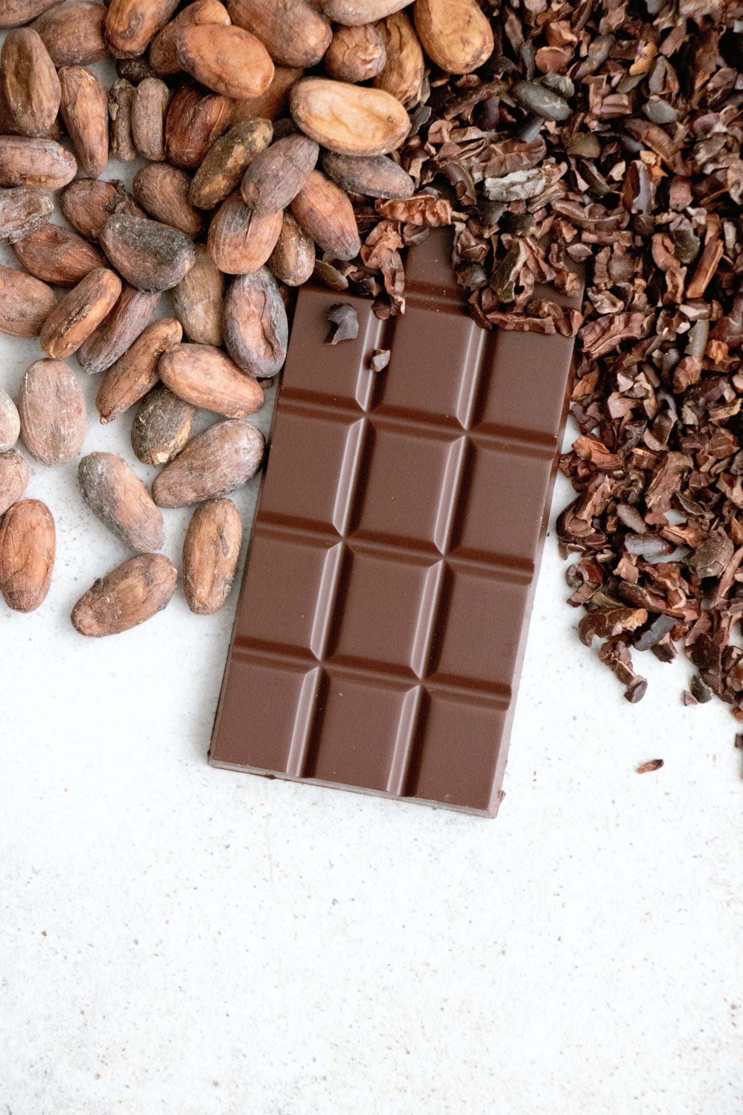 Echter Kakao Theobroma cacao gekeimte Samen Rarität Zimmerpflanze